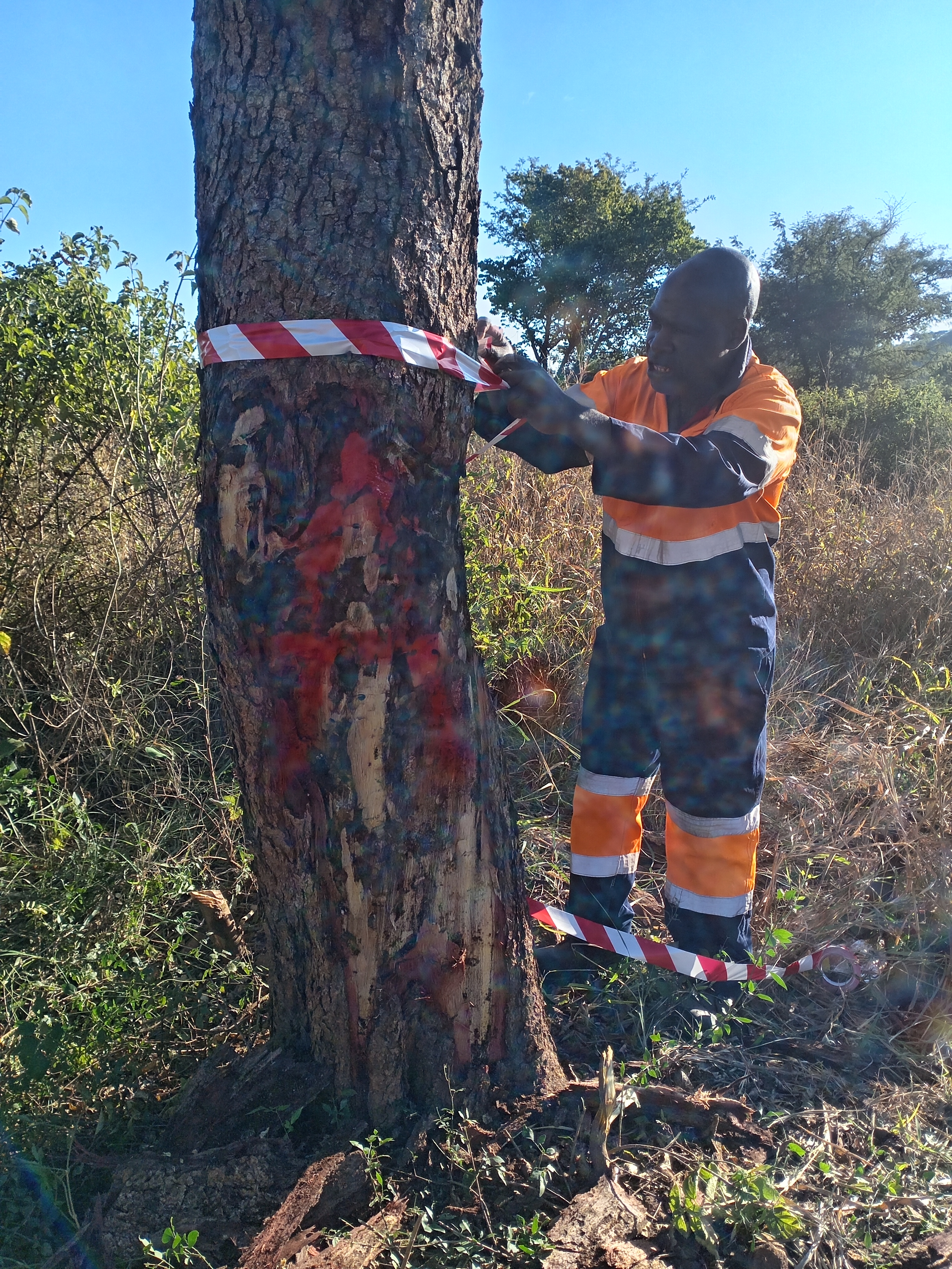 Navigating and Pegging - Chegutu